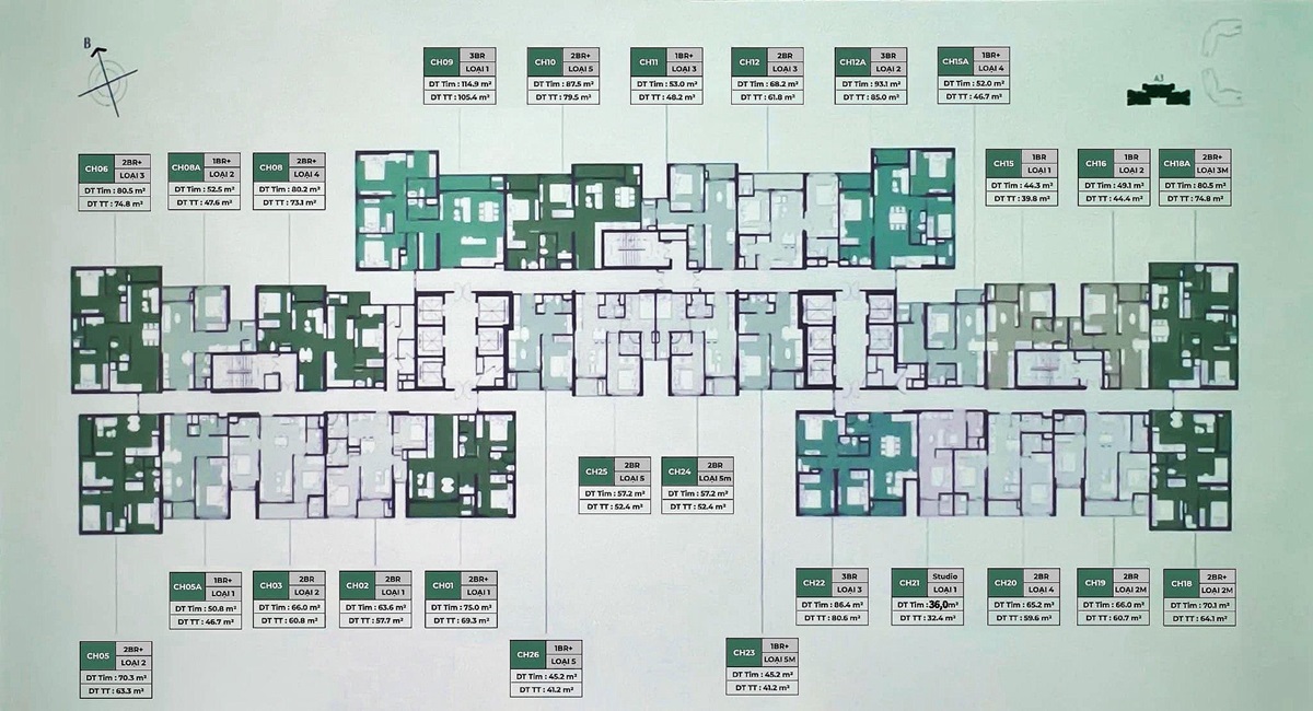 Mặt bằng thiết kế căn hộ Luimiere Evergreen